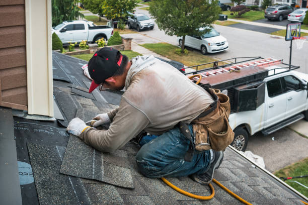 Professional Storm Damage Roof Repair technician working in Hamilton, IL